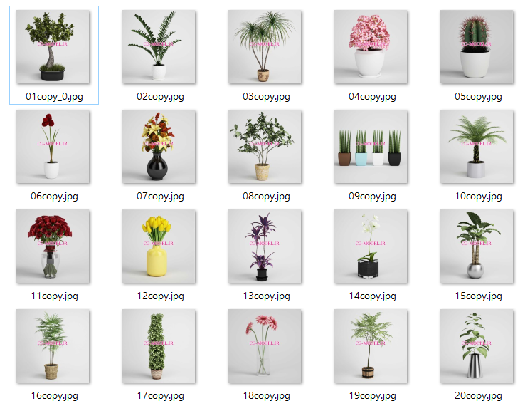 دانلود CGAxis Vol 01 گل و گیاه و درختچه 