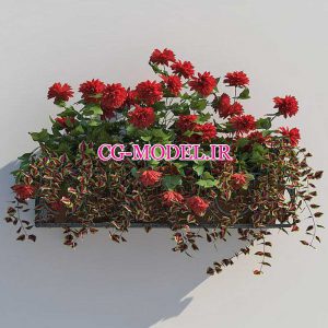 مدل سه بعدی Flower Box