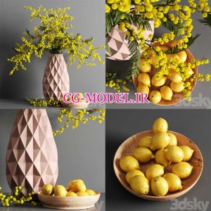مدل سه بعدی گل میموزا و ظرف لیمو